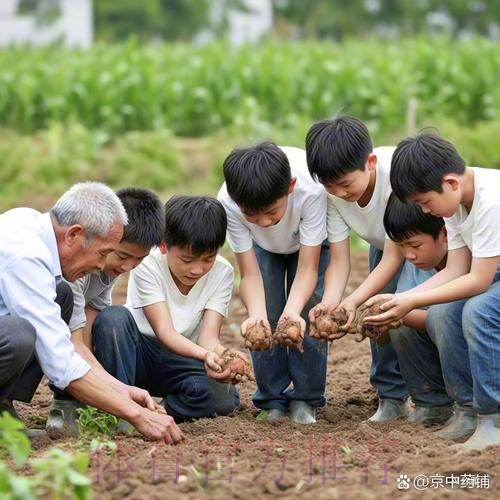 离收成很远的幼儿足球 仍在耕种 离收成很远的幼儿足球 仍在耕种